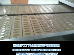 PD300 JELLY GUMMY CANDY PRODUCTION LINE ในประเทศอเมริกา