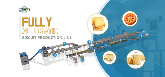 Large Capacity Hard And Soft Biscuit Production Line 1000KG/H Rich Tea Marie Biscuit Processing Line Machines